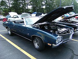 park avenue-image.jpeg