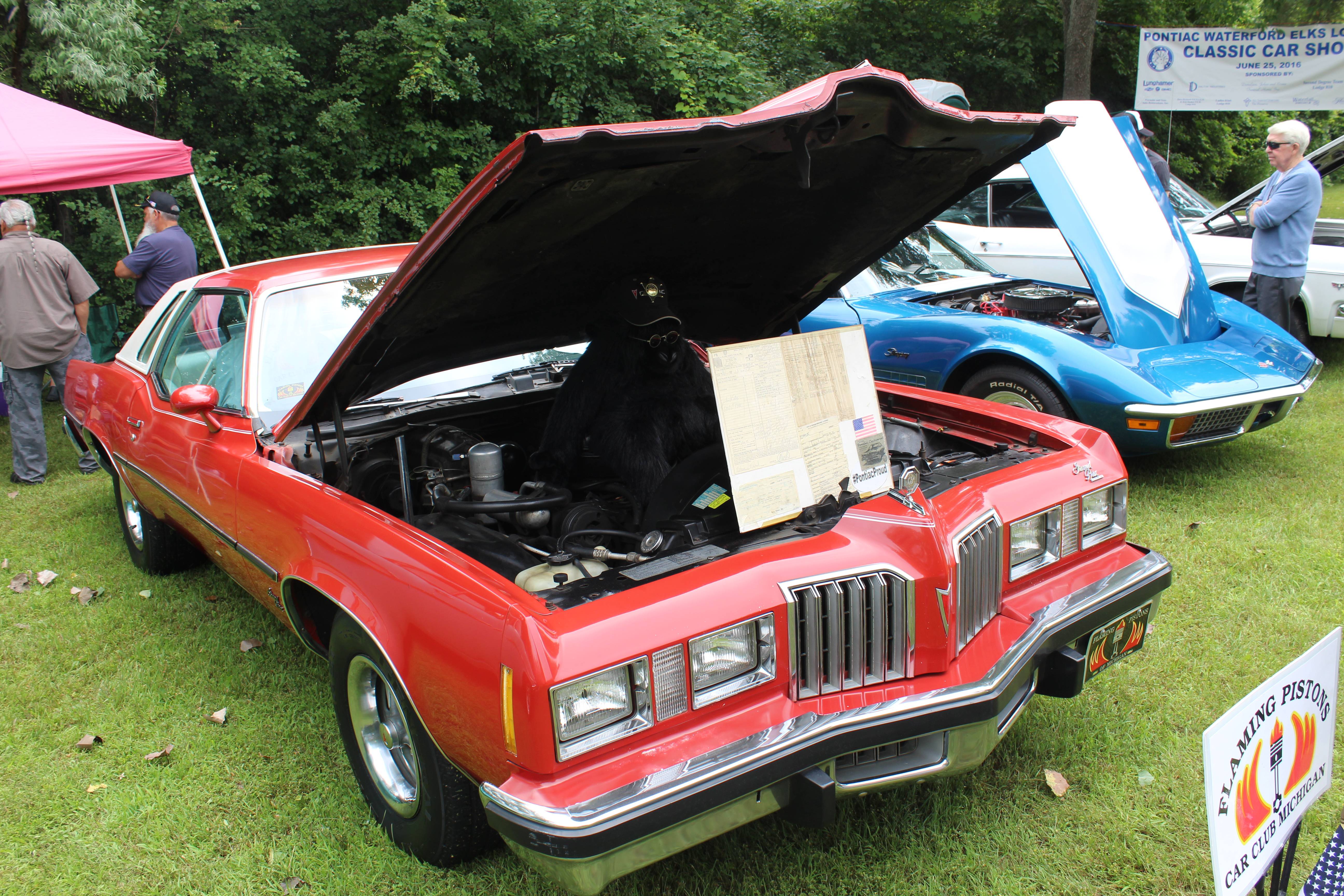 Name: xMzrkRA.jpg
Views: 34
Size: 1.94 MB