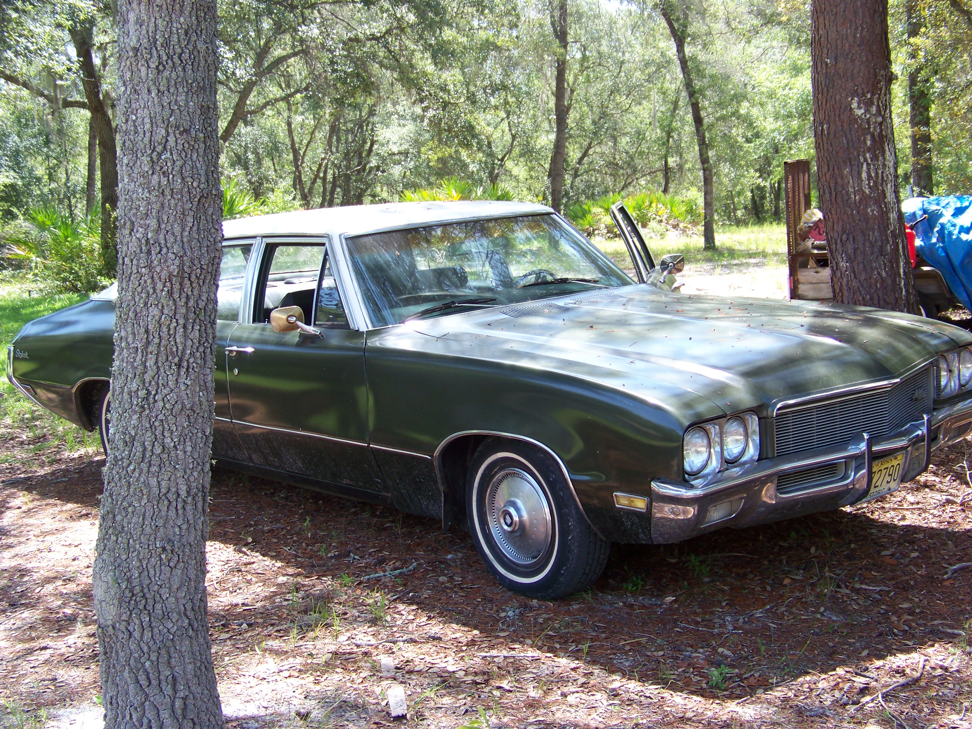 Name:  100_1760_zps26f48420.jpg
Views: 145
Size:  3.00 MB