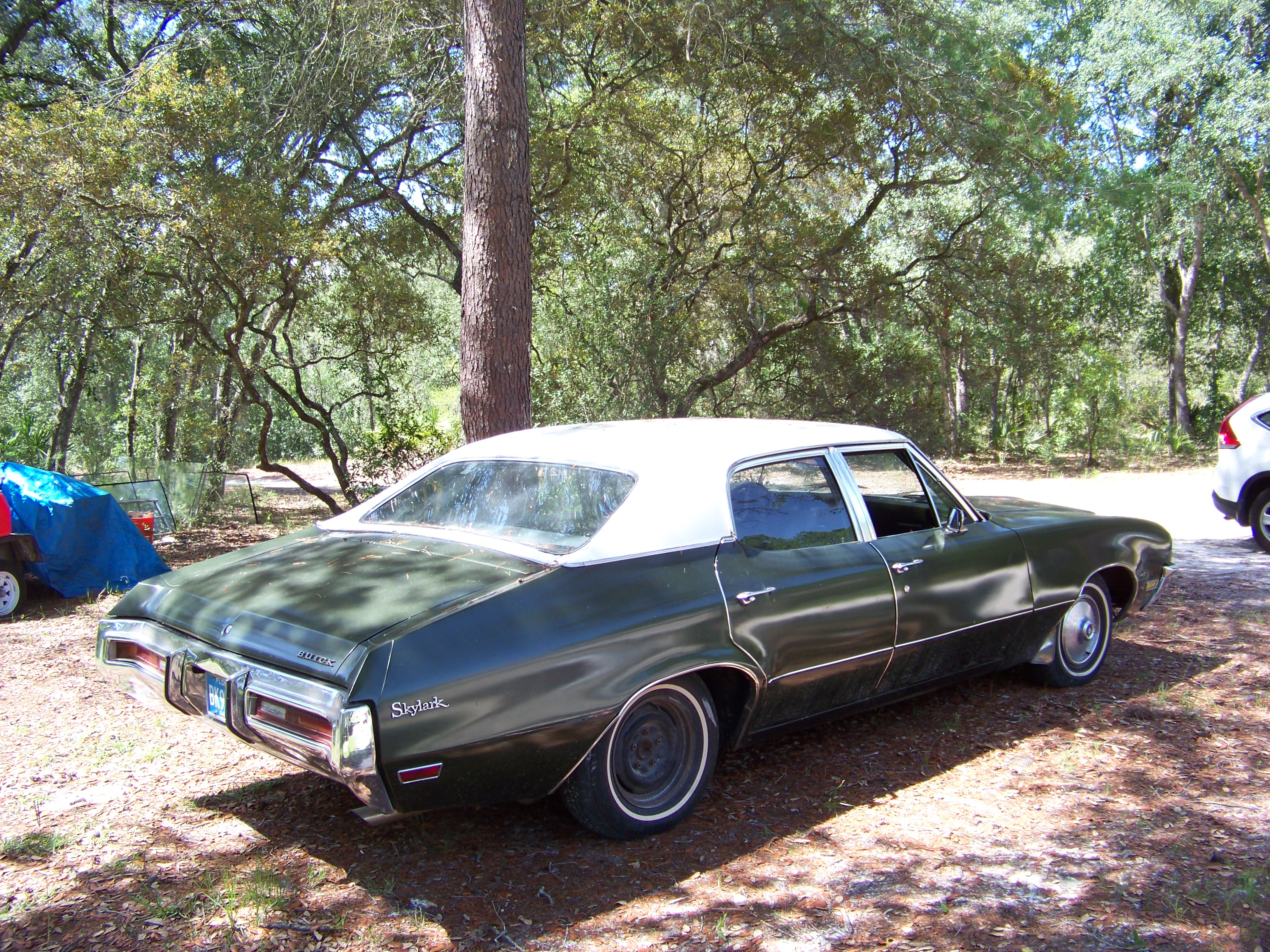 Name:  100_1763_zps7bafc431.jpg
Views: 158
Size:  3.19 MB