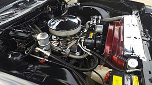 New from Minnesota-93cbf11e-bab4-4536-96fb-568f02c3e42a.jpeg