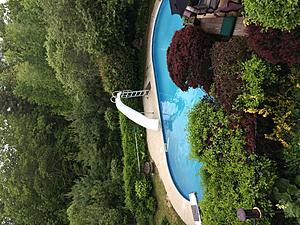 2018 car shows-image.jpeg