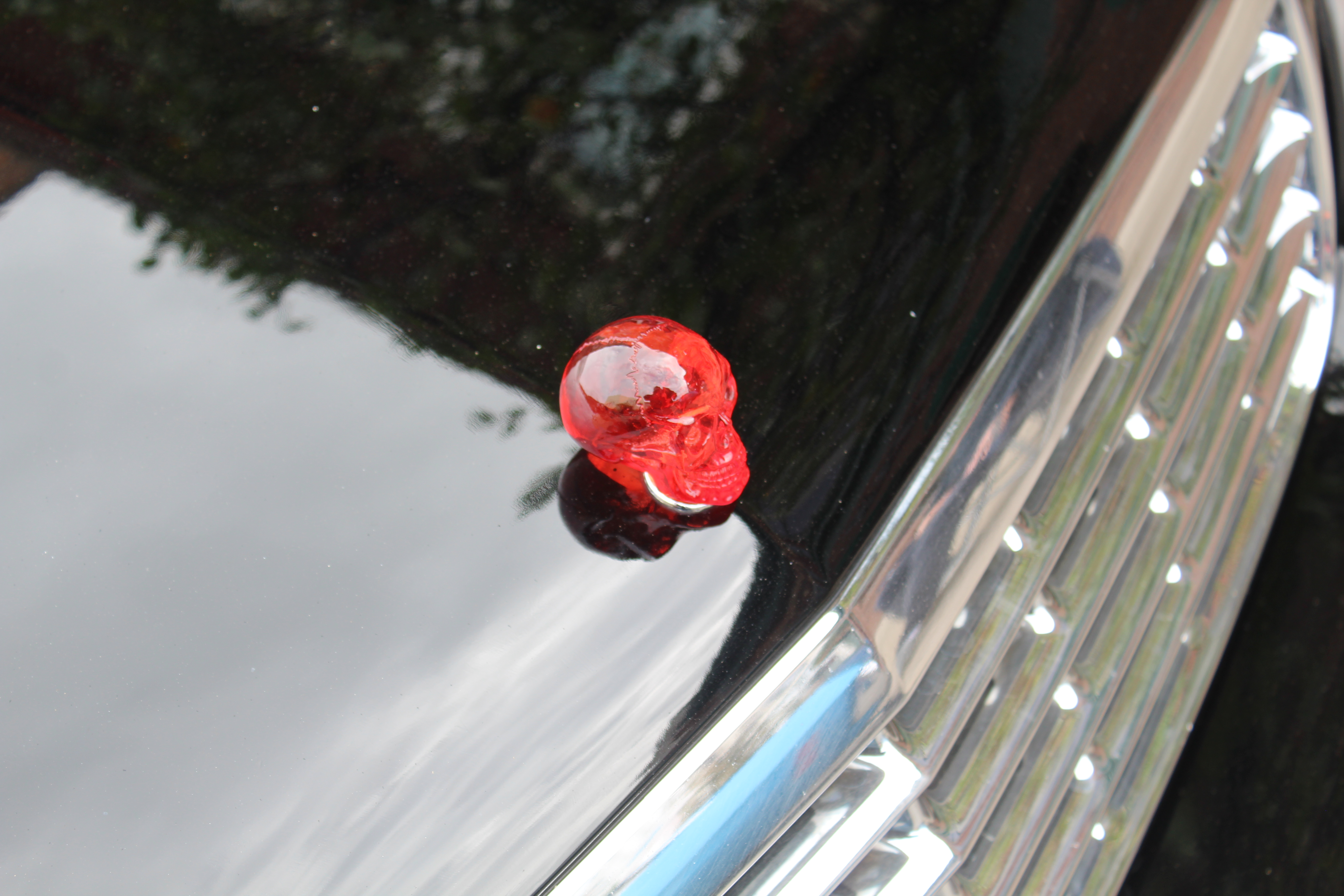 Name: AA9QE9s.jpg
Views: 141
Size: 4.08 MB