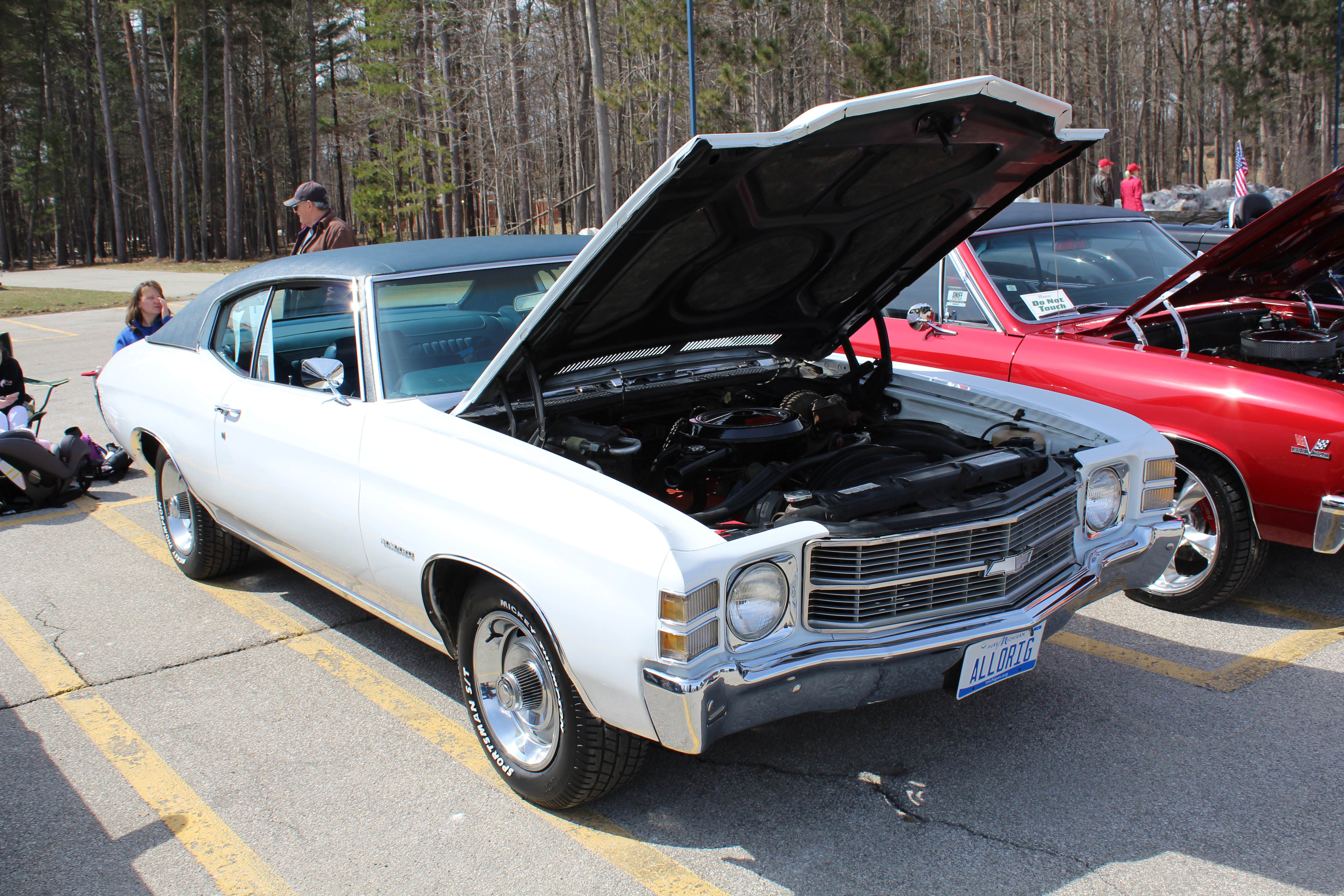 Name:  TA5cNpD.jpg
Views: 45
Size:  1.70 MB