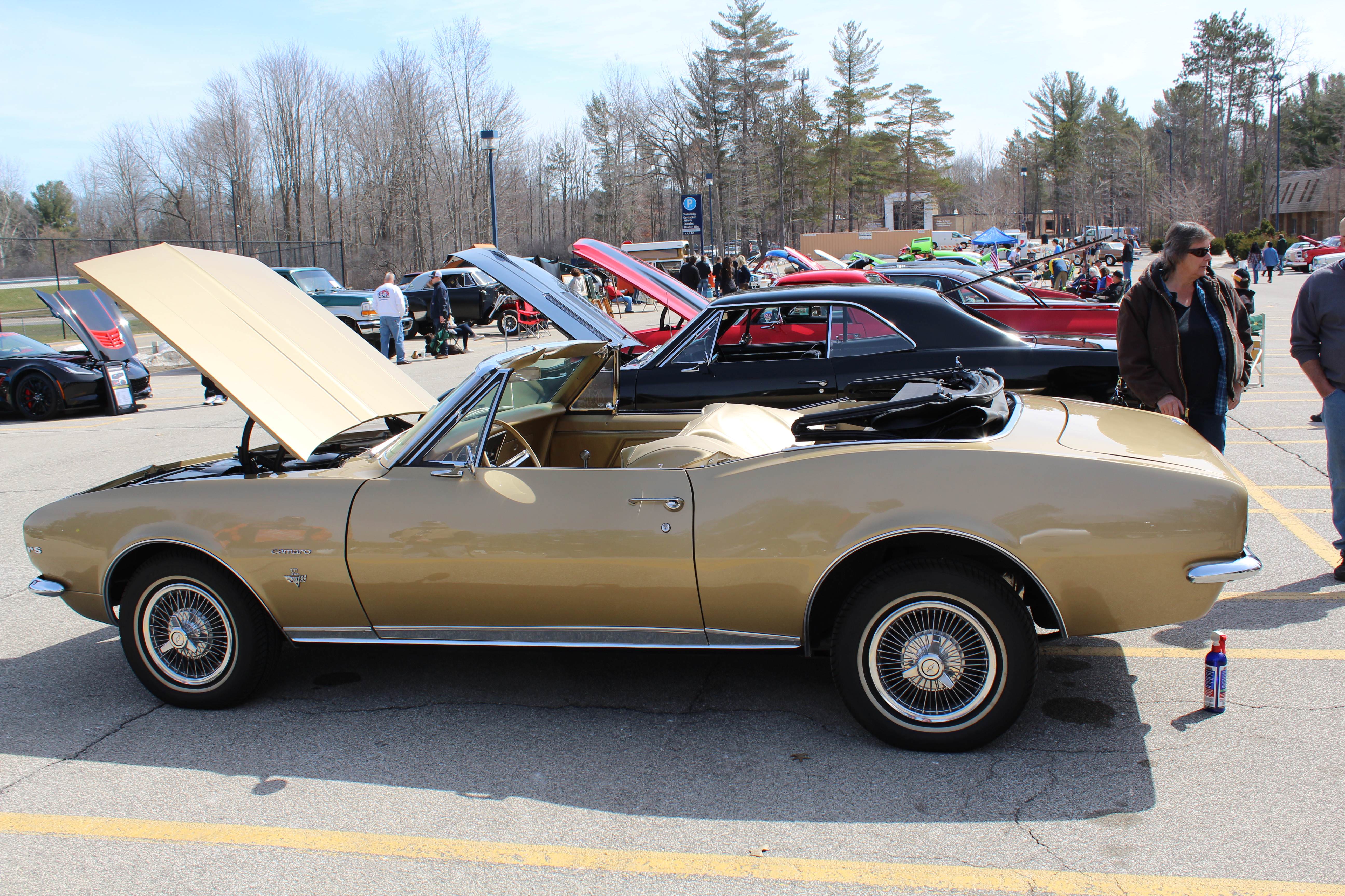 Name:  L6lXGsk.jpg
Views: 47
Size:  1.82 MB