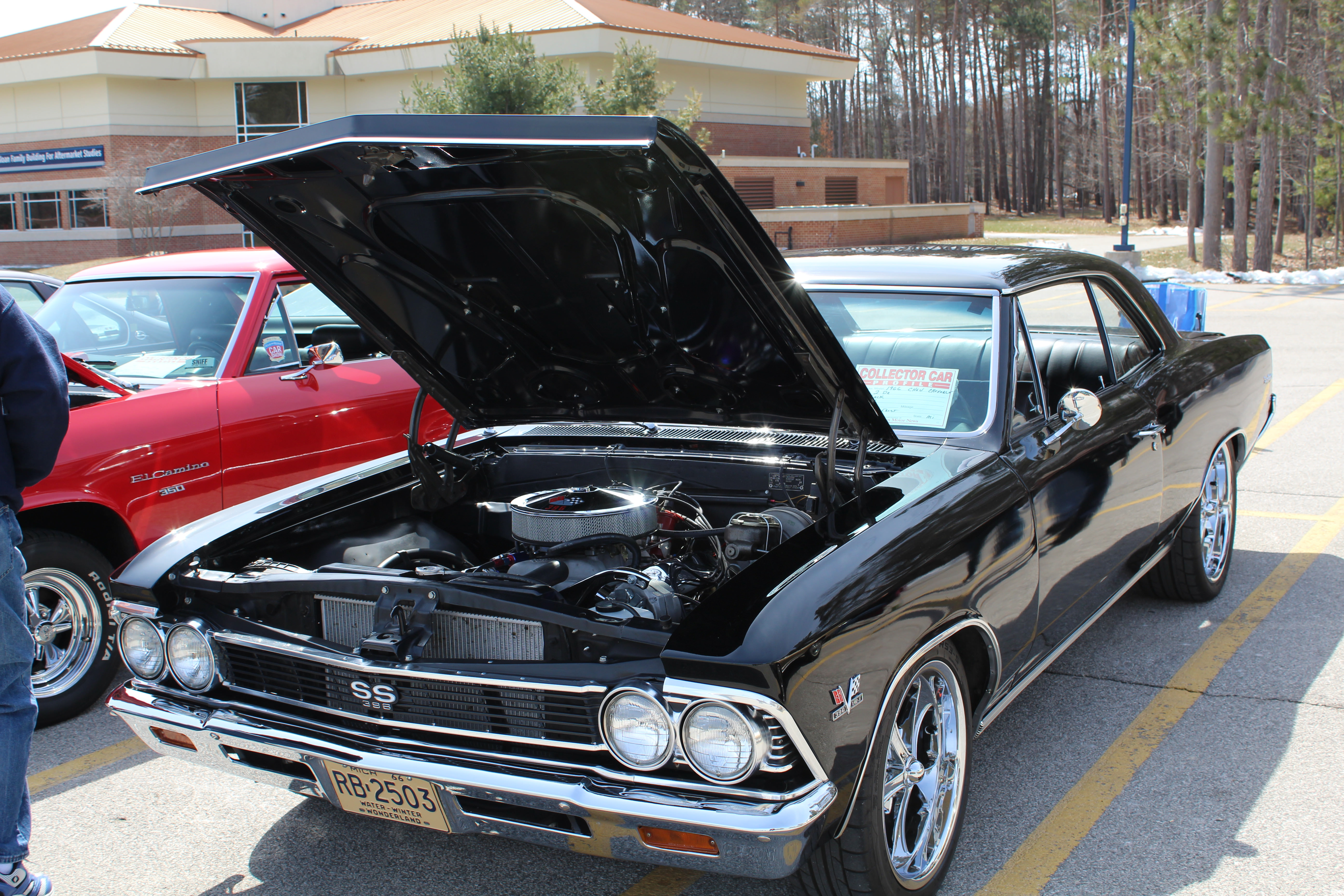 Name:  PwGgLqN.jpg
Views: 49
Size:  3.01 MB