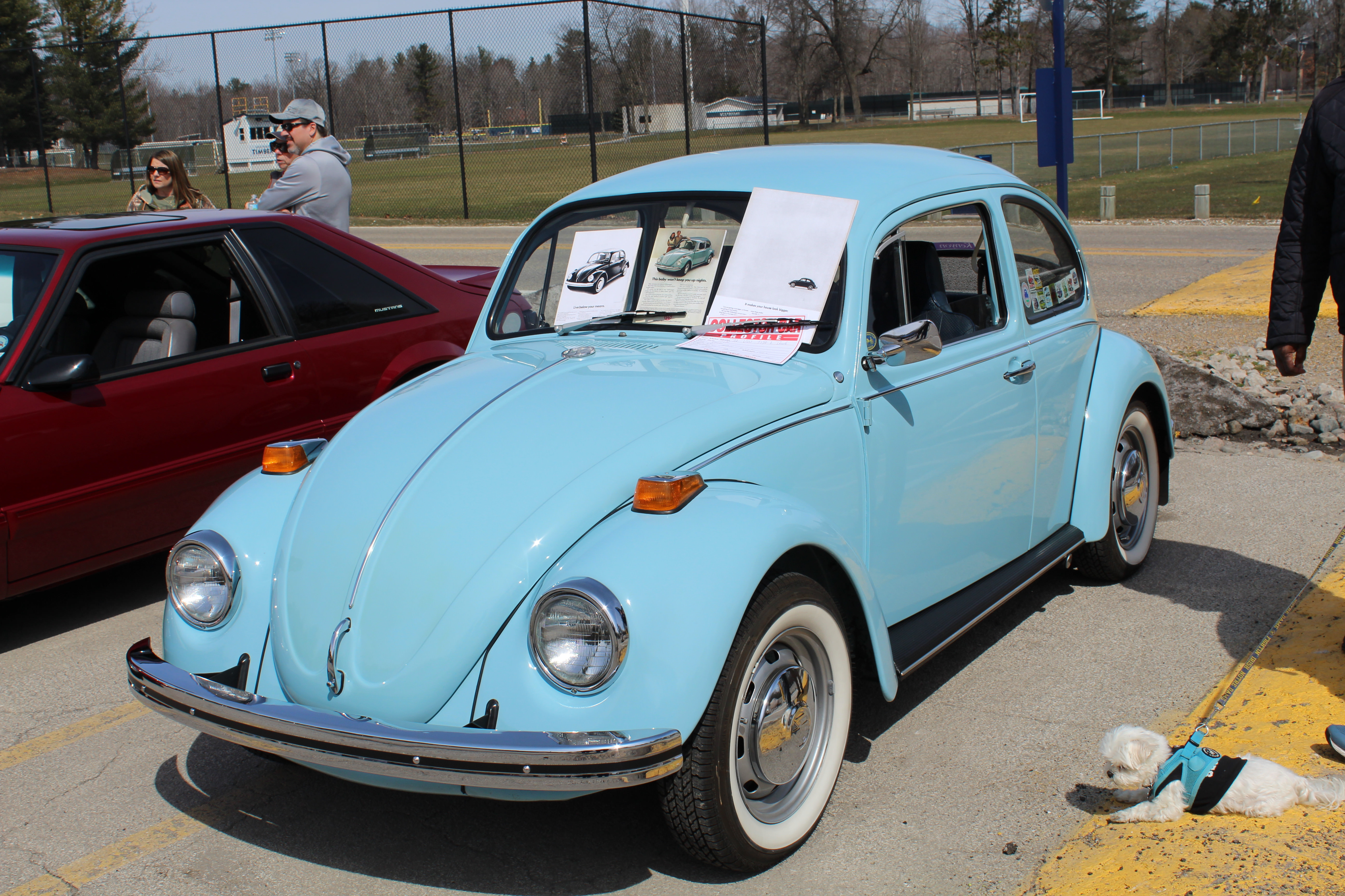 Name:  HvSIbAM.jpg
Views: 51
Size:  3.24 MB