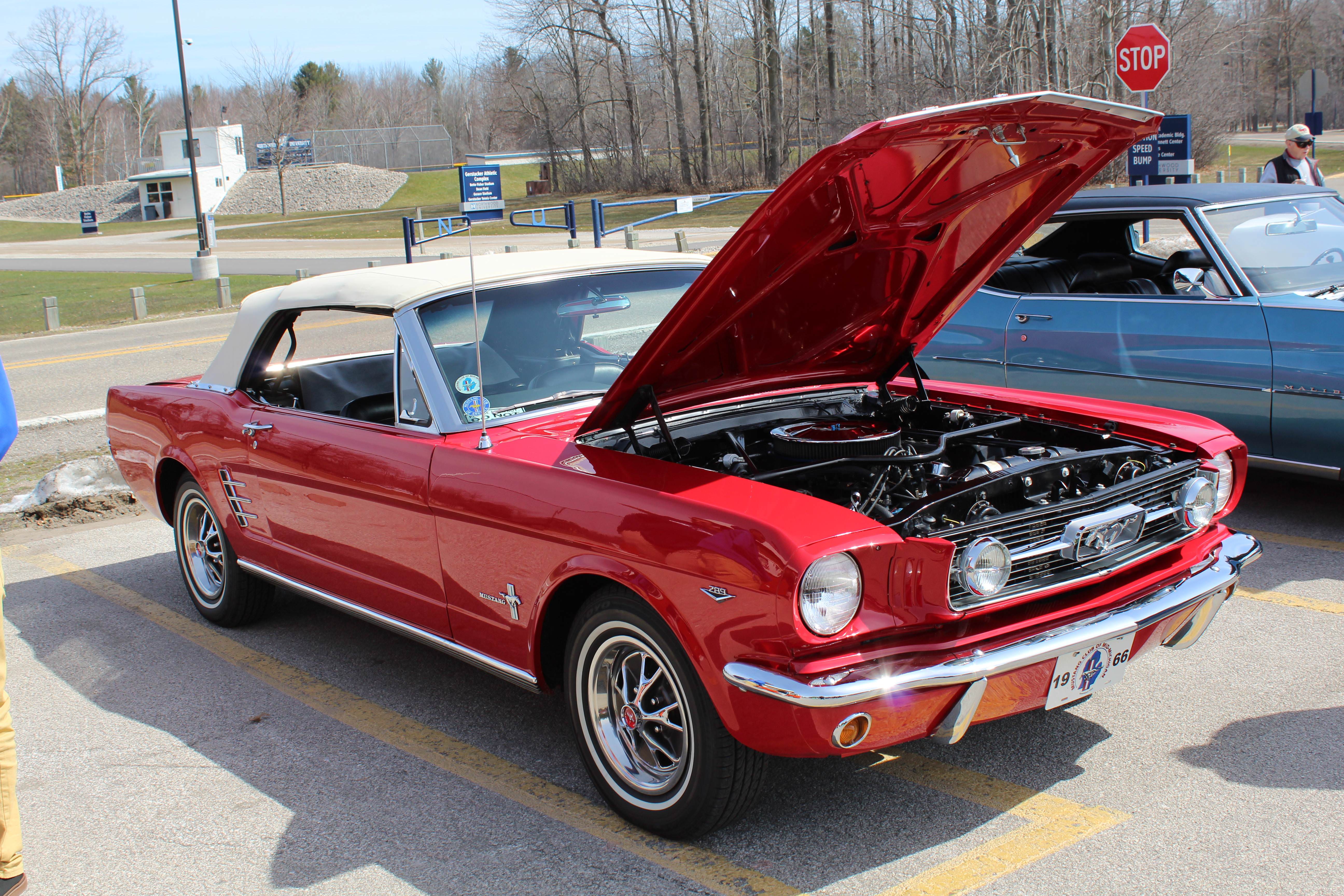 Name:  hfglrYQ.jpg
Views: 49
Size:  1.81 MB