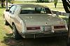 1983 Riviera XX-riviera-xx-004.jpg